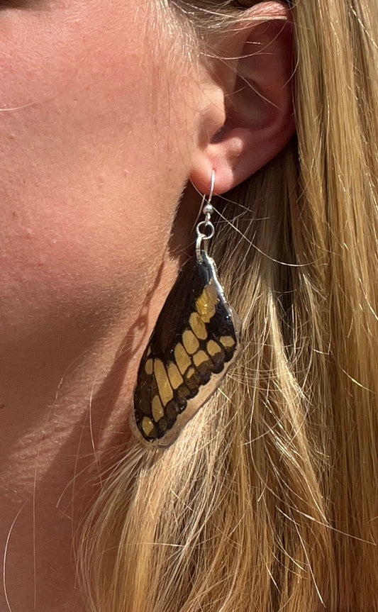 Swallowtail Butterfly Earrings