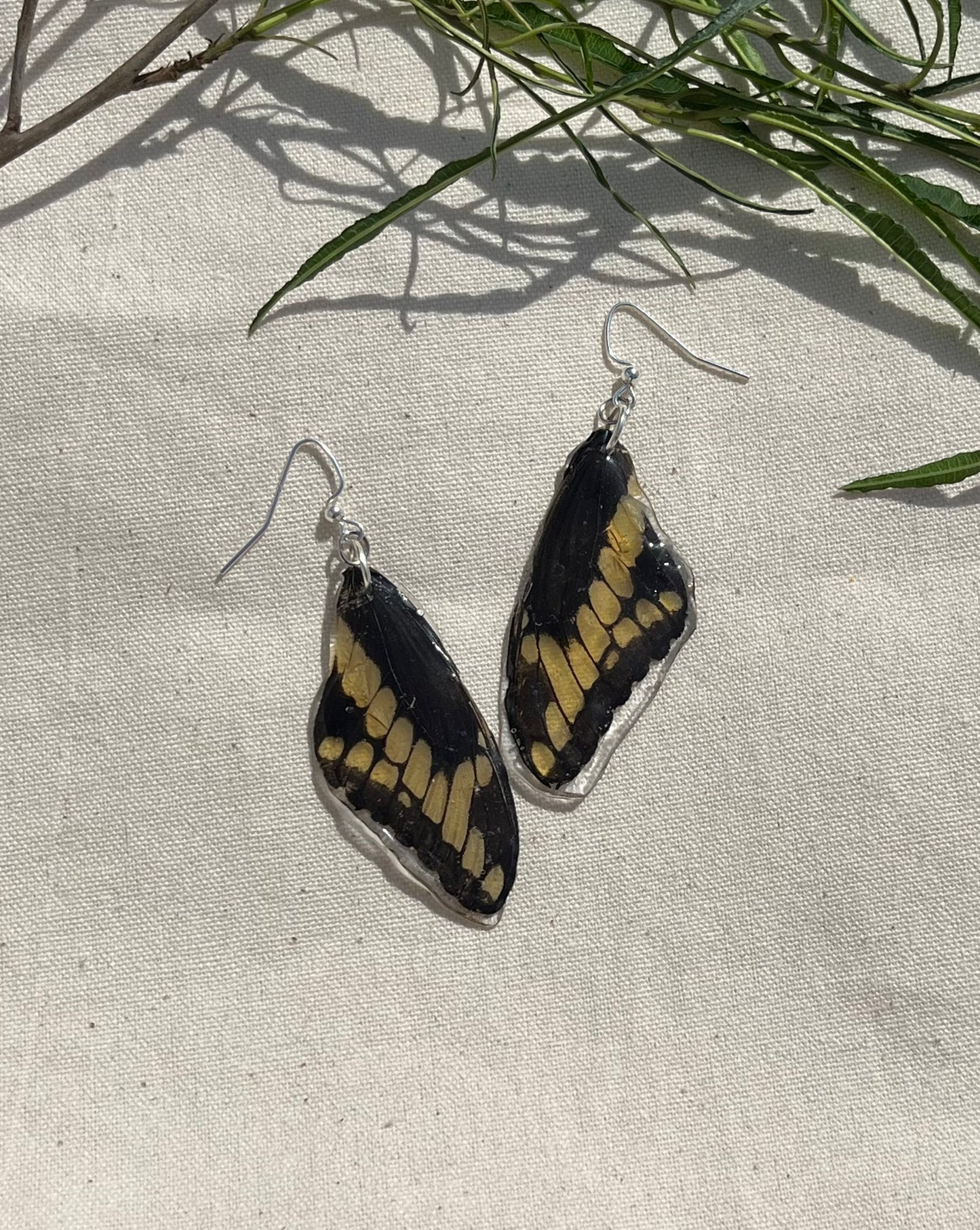 Swallowtail Butterfly Earrings