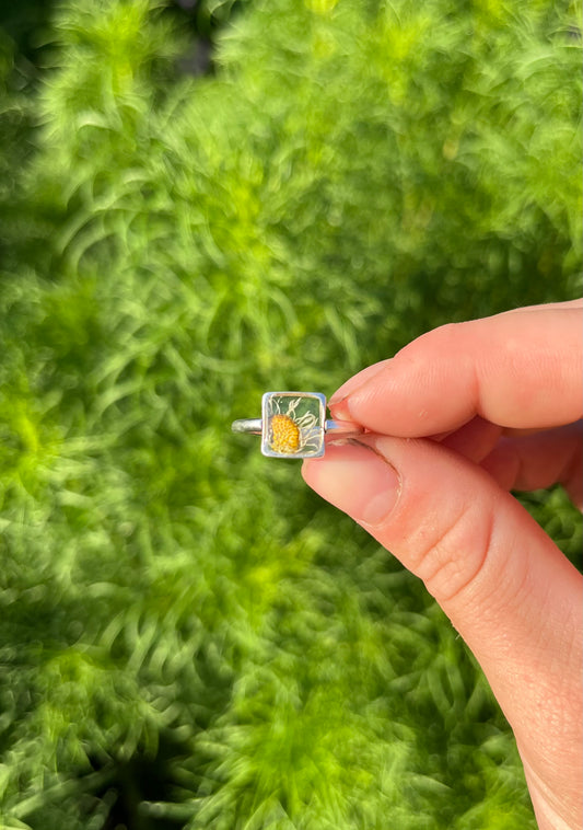 Mini Daisy Square Ring